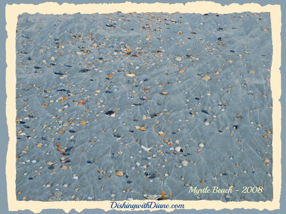 Myrtle Beach 2008 719- SEASHELLS MYRTLE BEACH 2008